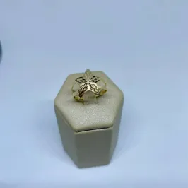 Anel Coleção Estrela Escovada