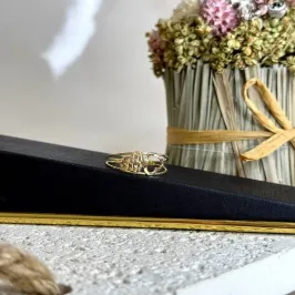Anel Dois Corações Vazado e Diamantado - Banho Ouro 18k