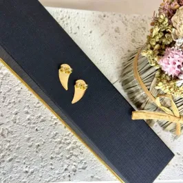 Par - Tarraxa - Banho Ouro 18k
