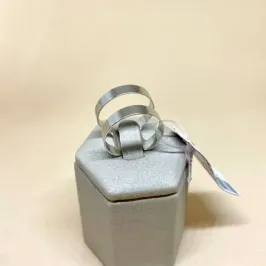 Anel Duplo Rodio Branco