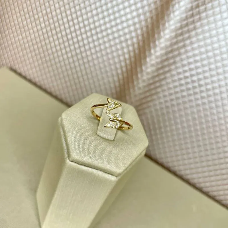 Anel Flecha com MicroZirconias