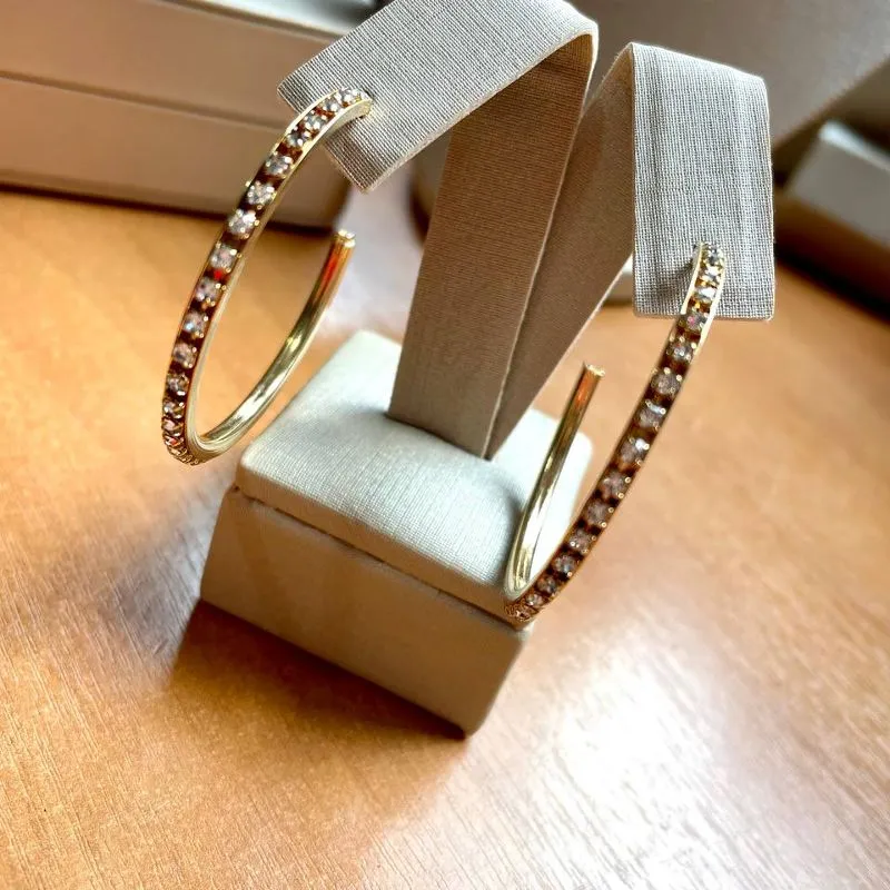 Brinco Argola com Strass