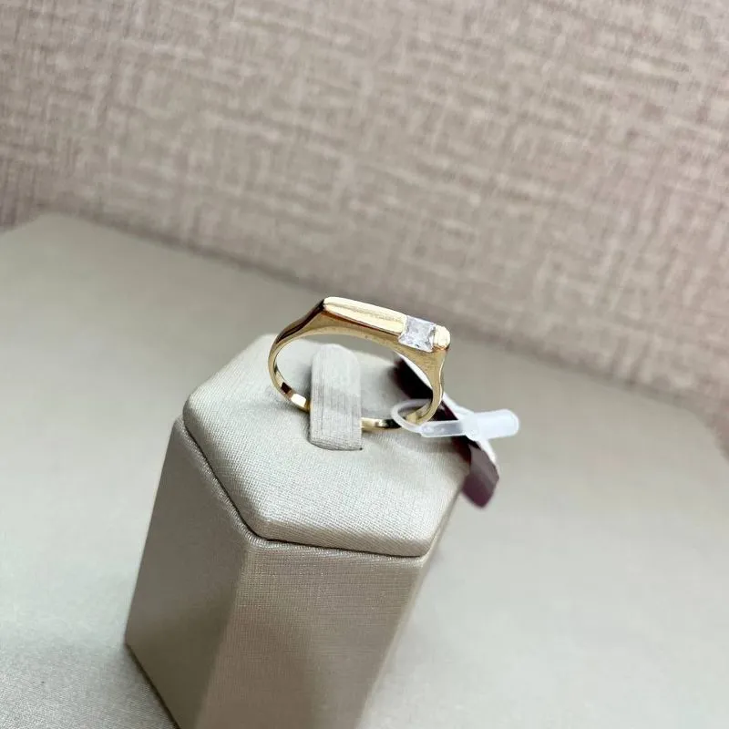 Brinco Chapa com Zirconia